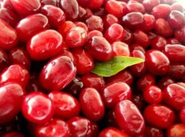 عکس زغال اخته میوه