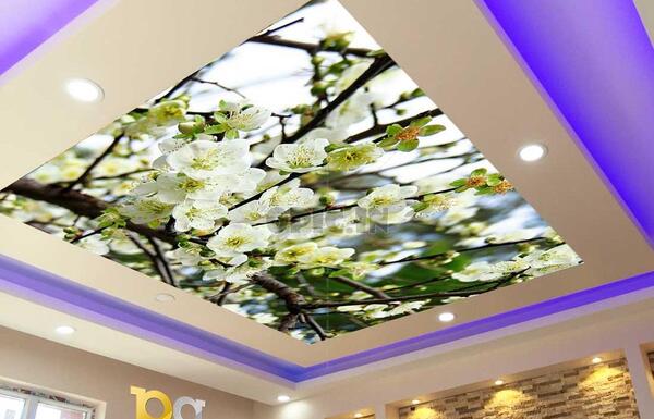 عکس طرح اسمان مجازی