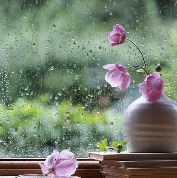 عکس ساده زیبا برای پروفایل