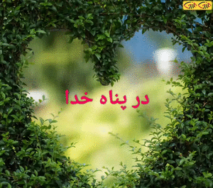 عکس خدانگهدارتون