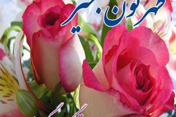 عکس ظهر بخیر