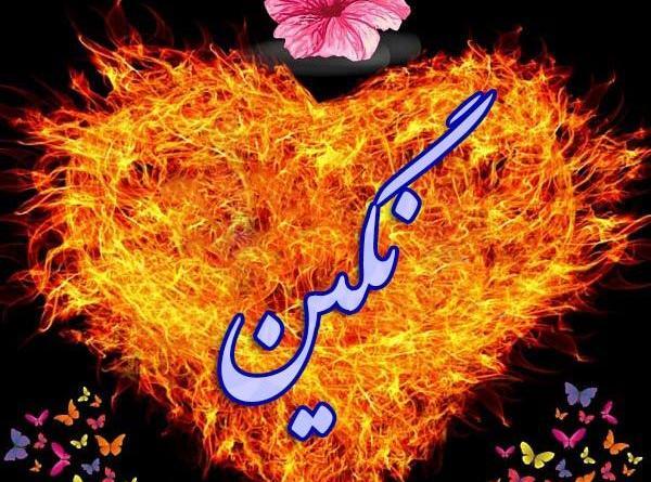 عکس نوشته راجب اسم نگین