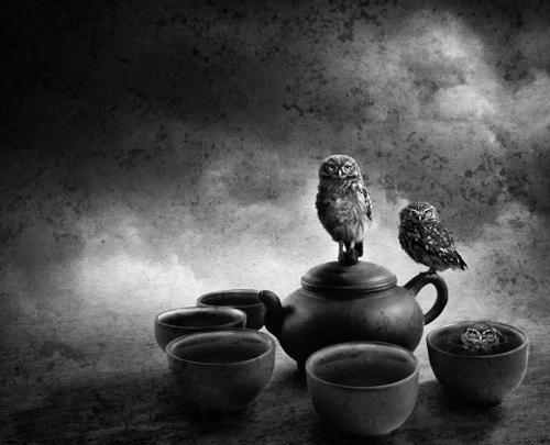 عکس مفهومی تلخ