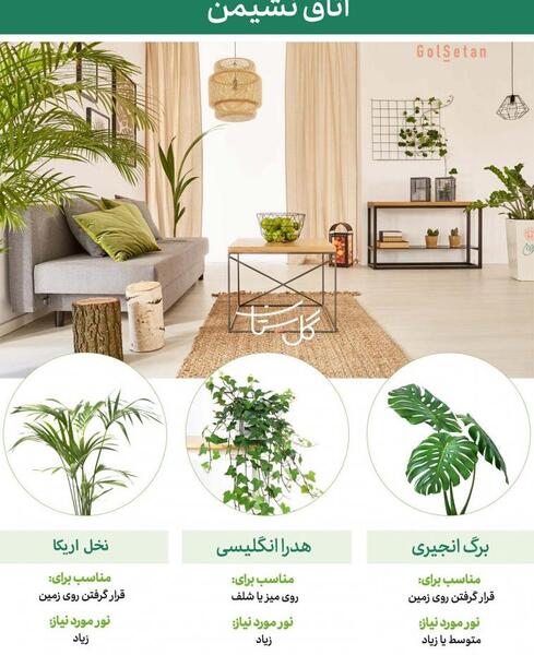 عکس ایده های زیبا برای آپارتمان