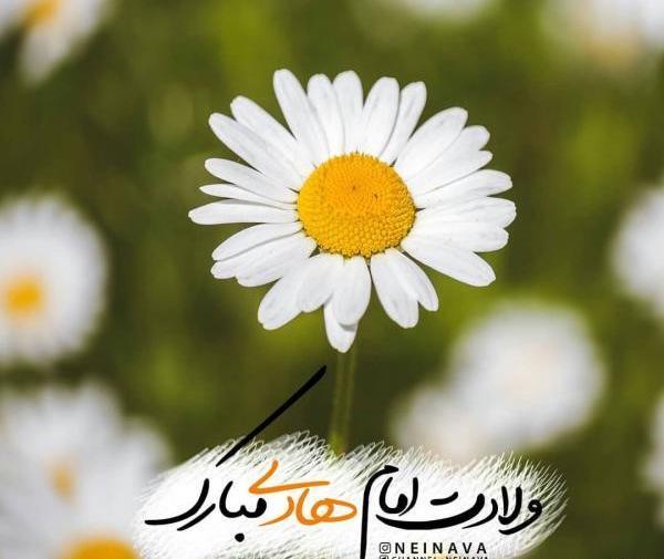 عکس نوشته میلاد امام هادی علیه السلام