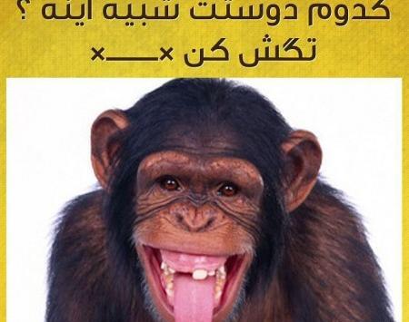 عکس خنده دار ترین ادم دنیا