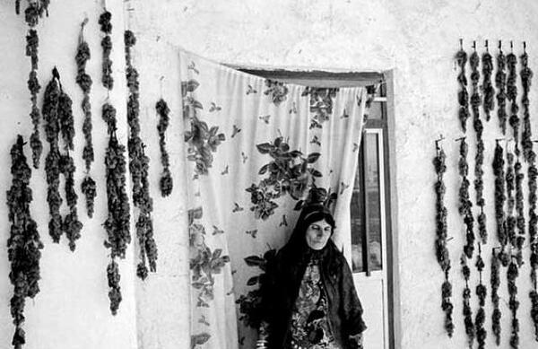 عکس حسن غفاری