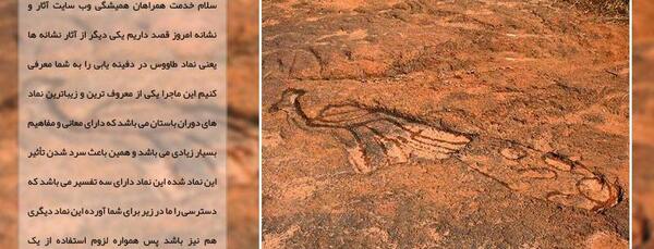 عکس طاووس روی سنگ نشانه چیست
