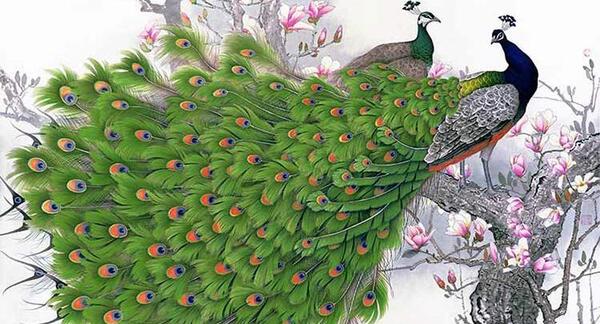 عکس طاووس روی سنگ نشانه چیست