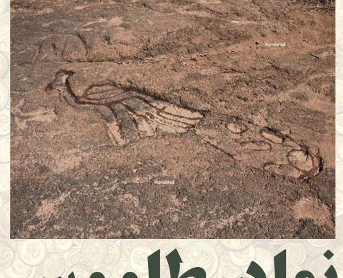 عکس طاووس روی سنگ نشانه چیست