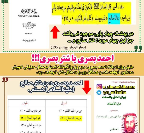 عکس شتر حضرت صالح