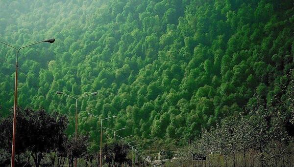 عکس از طبیعت نمک ابرود