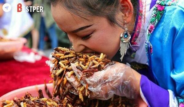 عکس غذا های چینی