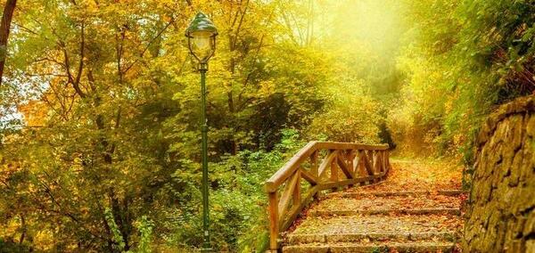 عکس پروفایل بدون متن طبیعت پاییزی