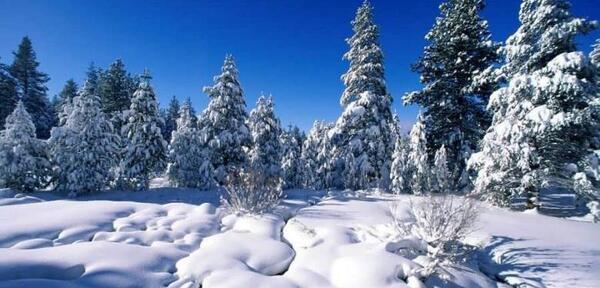 عکس طبیعت رویایی زمستانی