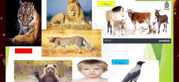 عکس حیوانات گیاه خوار