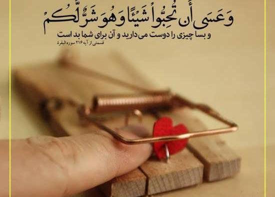 عکس آیات قران
