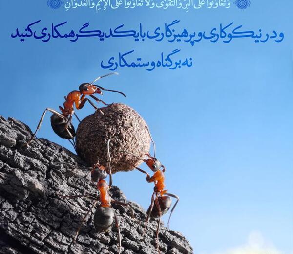 عکس آیات قران