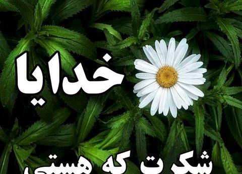 عکس نوشته خدایا شکرت که هستی