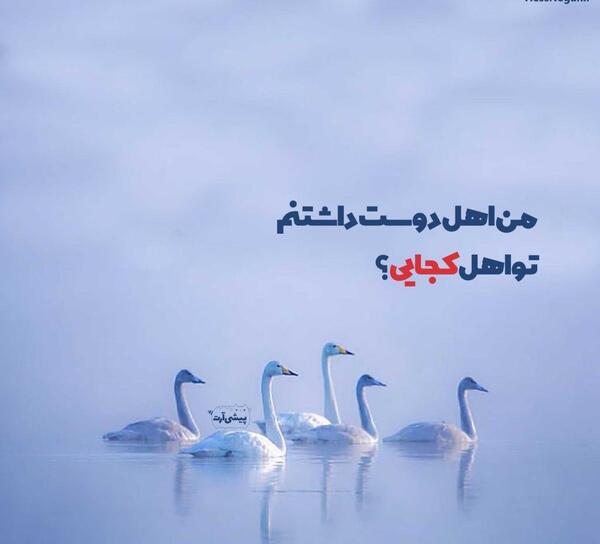 عکس نوشته عاشقانه اخوان ثالث