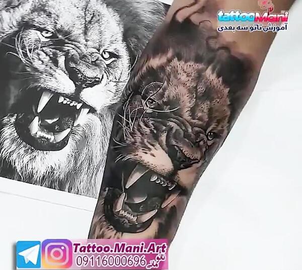عکس شیر برای تاتو