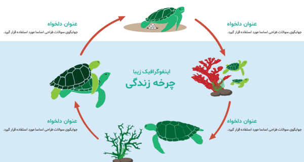 عکس چرخه زندگی لاک پشت