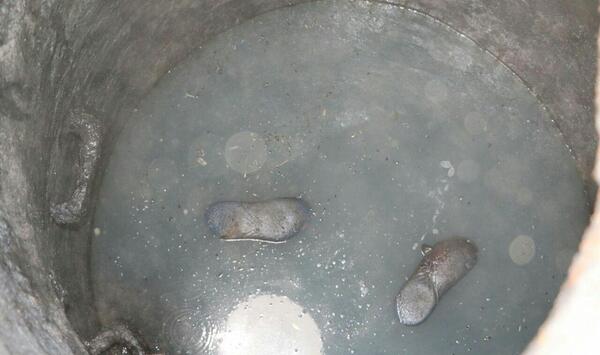 عکس چاه فاضلاب