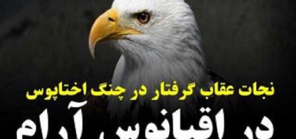 عکس چنگ عقاب