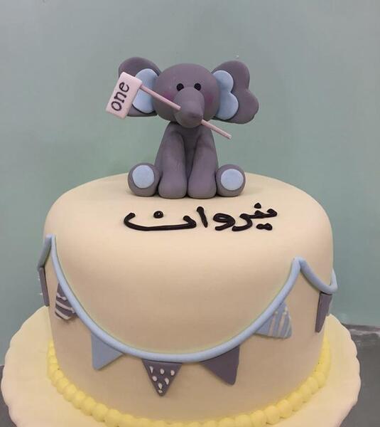 عکس فیل فوندانتی