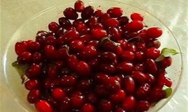 عکس زغال اخته کلیبر
