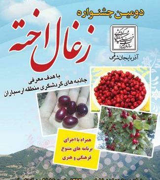 عکس زغال اخته کلیبر