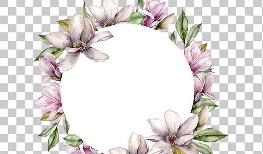 عکس سفید کادر دار