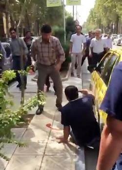 عکس سجاد طوطی خرم آباد