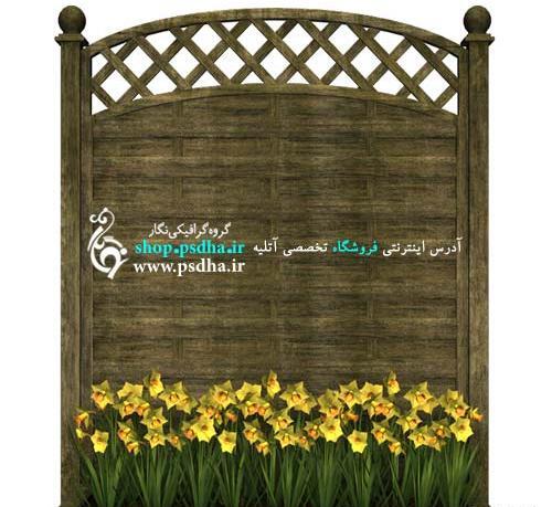 عکس گل نرگس لایه باز