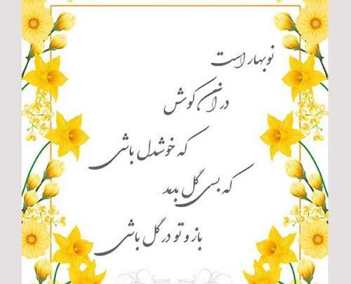 عکس گل نرگس لایه باز