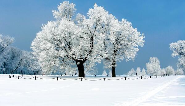 عکس پروفایل طبیعت زمستانی
