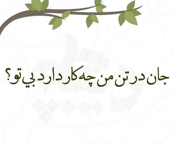 عکس نوشته های لیلا کردبچه