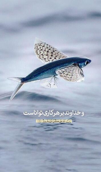 عکس نوشته قدرت الهی