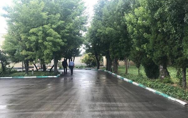 عکس نم نم باران