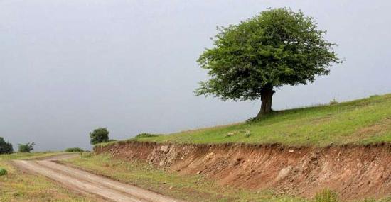 عکس طبیعت ییلاق
