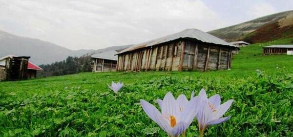 عکس طبیعت ییلاق