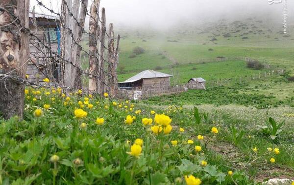 عکس طبیعت ییلاق