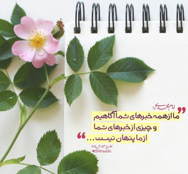 عکس نوشته مهدی جان عج