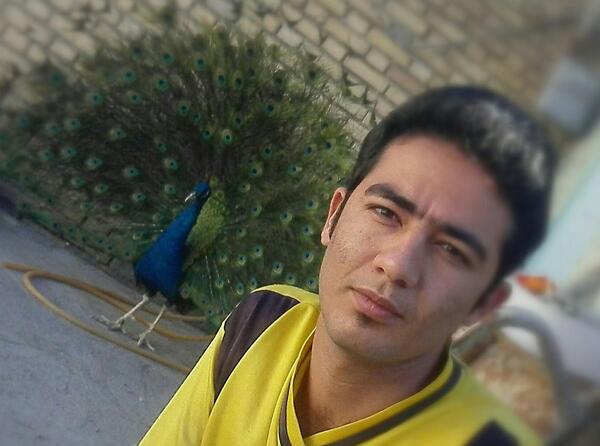 عکس طاووس خانگی