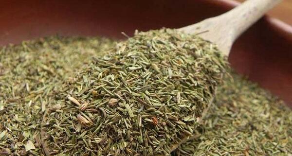 عکس آویشن گرمسیری