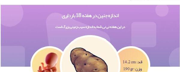 عکس ماه های بارداری