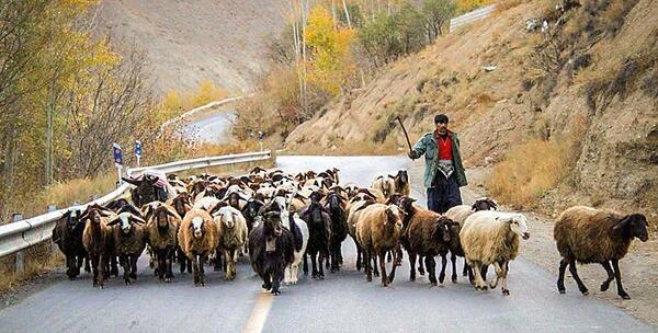 عکسهای روستای حجت آباد