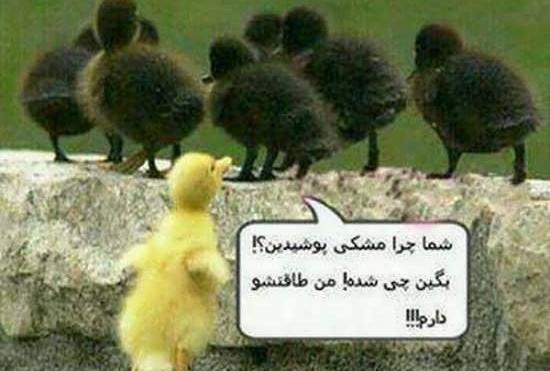 عکس های جالب خنده دار جدید