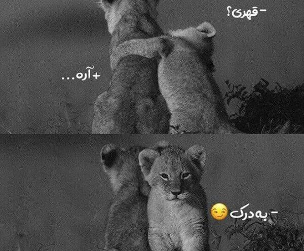 عکس دخترونه شاخ برای پروفایل شاد