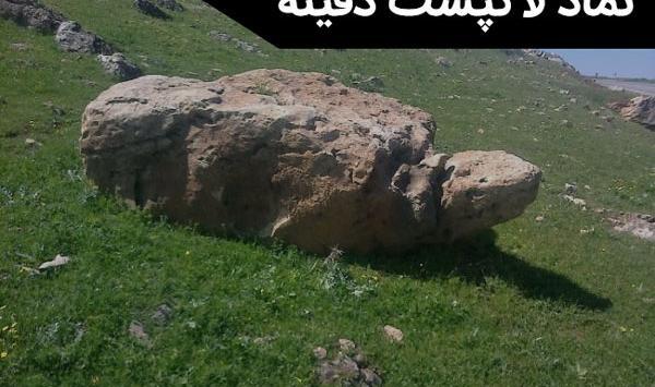 عکس لاک پشت در گنج یابی
